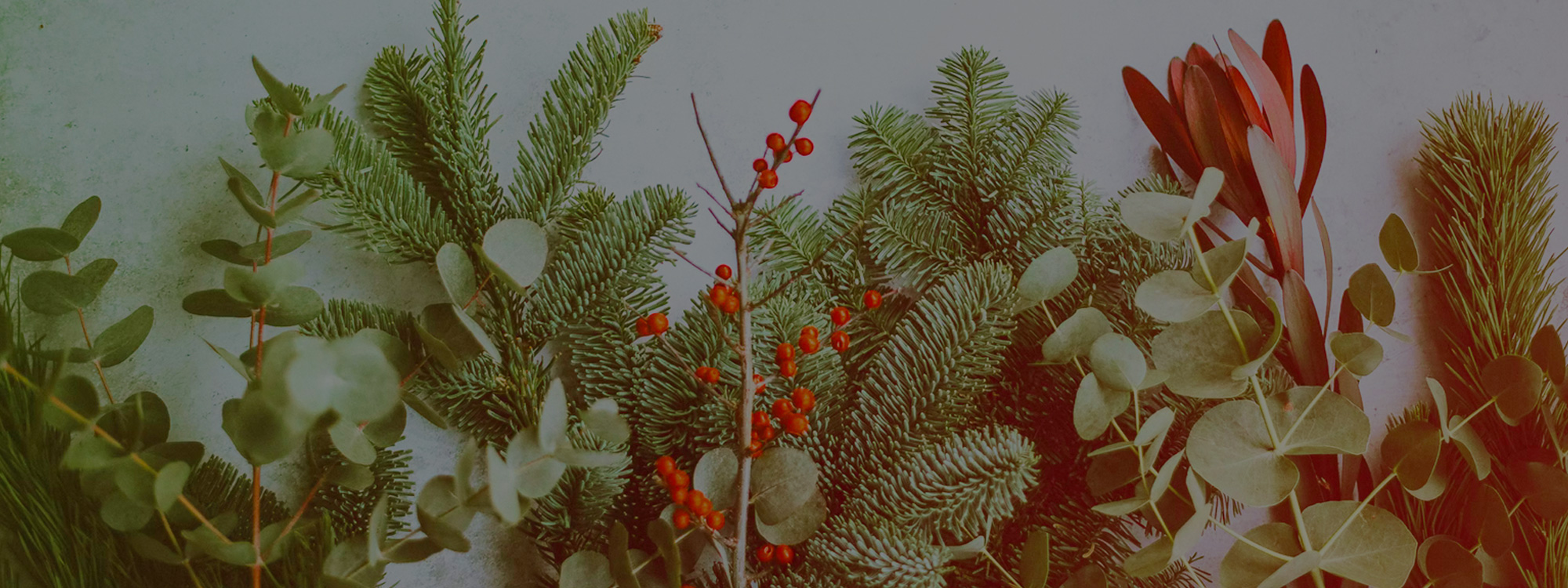 Welcome *to QE Park Baptist Church*