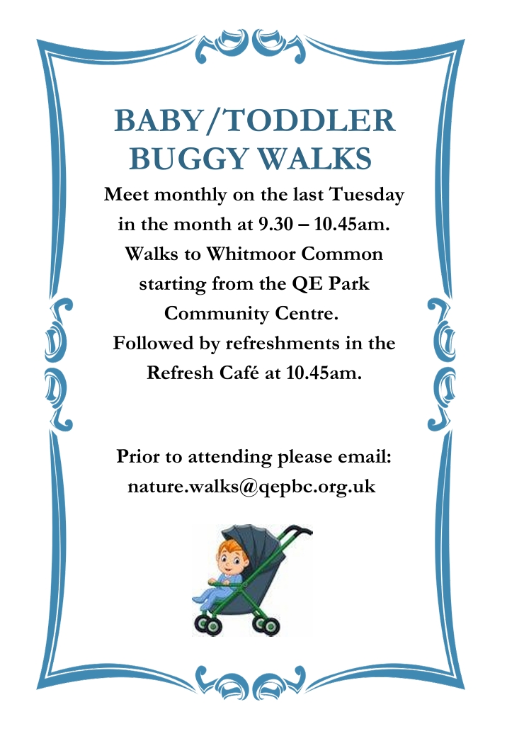 Baby Buggy flyer Spring 2026